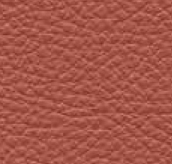 Poltrona frau leather 031 Swatch image for Poltrona frau leather 031
